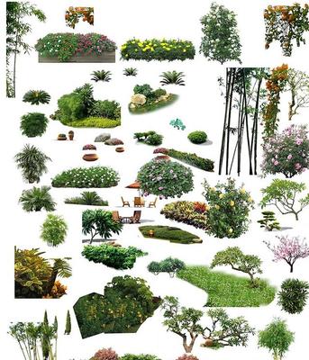 园林景观设计PSD古建树木花草植物人物鸟瞰图效果图PS后期素材库
