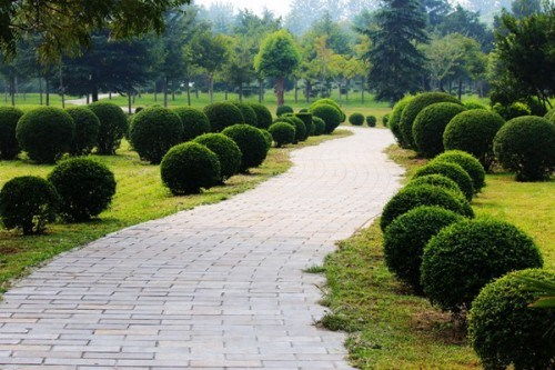 江汉区户外园林绿化养护
